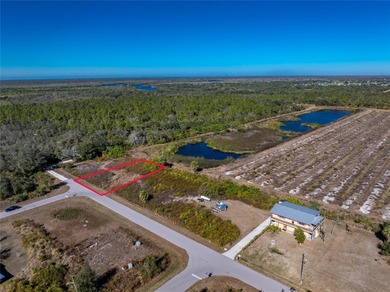 SECLUDED ROAD SERENITY WITH ORCHARD VIEWS--YOUR PEACE RIVER on Live Oak Golf Club and RV Park in Florida - for sale on GolfHomes.com, golf home, golf lot