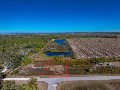 SECLUDED ROAD SERENITY WITH ORCHARD VIEWS--YOUR PEACE RIVER on Live Oak Golf Club and RV Park in Florida - for sale on GolfHomes.com, golf home, golf lot