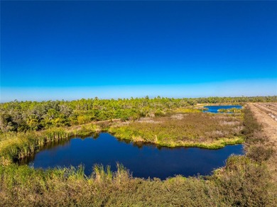 BUILD YOUR DREAM HOME IN THIS SERENE, NATURE-RICH COMMUNITY WITH on Live Oak Golf Club and RV Park in Florida - for sale on GolfHomes.com, golf home, golf lot