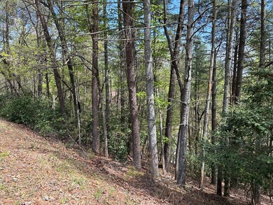 Gentle laying lot within Buckhorn Estates subdivision- on White Path Golf Club in Georgia - for sale on GolfHomes.com, golf home, golf lot