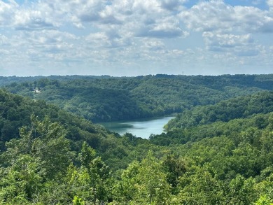 Looking for property with a fantastic view of Dale Hollow Lake? on Dale Hollow Lake Golf Course in Kentucky - for sale on GolfHomes.com, golf home, golf lot
