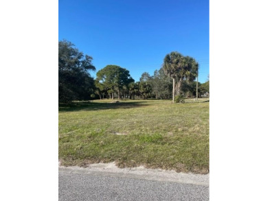 BUILD your DREAM home or INVEST on this mostly cleared 80 x 110 on Rotonda Golf and Country Club The Hills Course in Florida - for sale on GolfHomes.com, golf home, golf lot