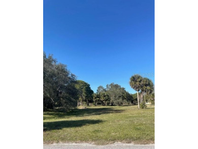 BUILD your DREAM home or INVEST on this mostly cleared 80 x 110 on Rotonda Golf and Country Club The Hills Course in Florida - for sale on GolfHomes.com, golf home, golf lot