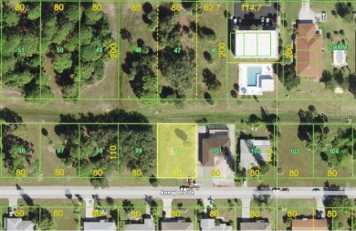 BUILD your DREAM home or INVEST on this mostly cleared 80 x 110 on Rotonda Golf and Country Club The Hills Course in Florida - for sale on GolfHomes.com, golf home, golf lot