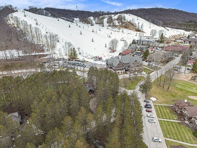 The most iconic home in ALL of Crystal Mountain Resort is now on Crystal Mountain Golf Course in Michigan - for sale on GolfHomes.com, golf home, golf lot