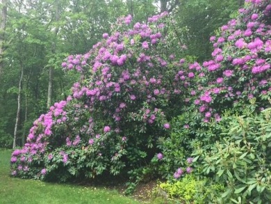 Welcome to your serene escape at 53 Wingfoot Drive, nestled in on Cummaquid Golf Club in Massachusetts - for sale on GolfHomes.com, golf home, golf lot