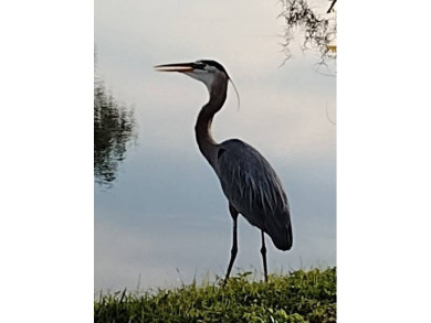 Furnished! Updated 2Bed/2Bath well-maintained Home with a on Four Lakes Golf Club in Florida - for sale on GolfHomes.com, golf home, golf lot