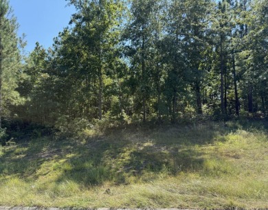 Nice lot to build your new home in The Reserve at Woodside on The Reserve Club At Woodside Plantation in South Carolina - for sale on GolfHomes.com, golf home, golf lot