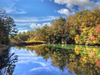 Overlooking a serene hidden lake--known by some residents as on White Path Golf Club in Georgia - for sale on GolfHomes.com, golf home, golf lot