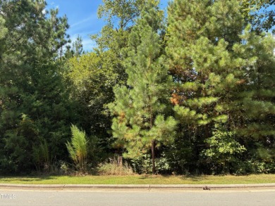 Fantastic Lot for walkout basement plan overlooking the 3rd hole on Chapel Ridge Golf Club in North Carolina - for sale on GolfHomes.com, golf home, golf lot