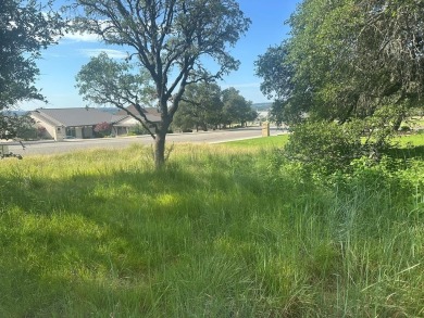 Beautiful single family lot with amazing oak trees. Property on The Club At Comanche Trace in Texas - for sale on GolfHomes.com, golf home, golf lot