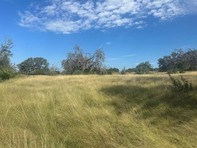 Beautiful single family lot with amazing oak trees. Property on The Club At Comanche Trace in Texas - for sale on GolfHomes.com, golf home, golf lot
