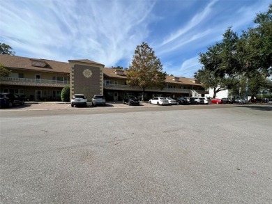 This beautifully updated condo on the newer westside of On Top on On Top Of The World Golf Course in Florida - for sale on GolfHomes.com, golf home, golf lot