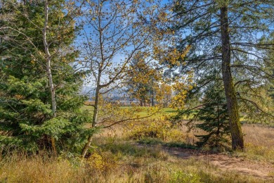 Location says it all. One of only 3 cottages directly on the on Osprey Meadows at Tamarack Resort in Idaho - for sale on GolfHomes.com, golf home, golf lot