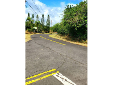 A beautiful, rare lot (#121) is situated at the corner of a on Discovery Harbour Golf Course in Hawaii - for sale on GolfHomes.com, golf home, golf lot