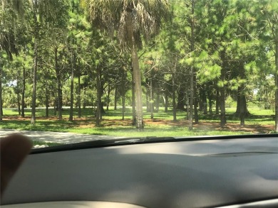 This buildable lot is perfectly located on a dead end cul de sac on Twin Brooks Golf Course in Florida - for sale on GolfHomes.com, golf home, golf lot