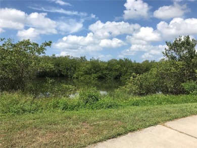 This buildable lot is perfectly located on a dead end cul de sac on Twin Brooks Golf Course in Florida - for sale on GolfHomes.com, golf home, golf lot