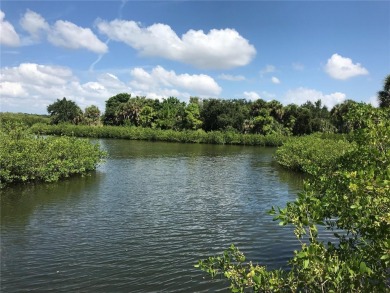 This buildable lot is perfectly located on a dead end cul de sac on Twin Brooks Golf Course in Florida - for sale on GolfHomes.com, golf home, golf lot