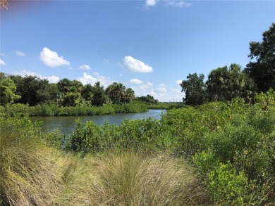 This buildable lot is perfectly located on a dead end cul de sac on Twin Brooks Golf Course in Florida - for sale on GolfHomes.com, golf home, golf lot