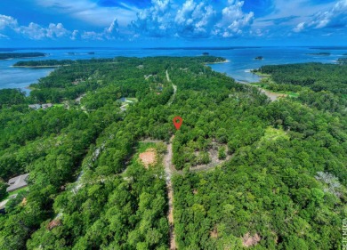 WATER ACCESS! Beautiful 1/2 acre lot in Rayburn Country! on Rayburn Country Club in Texas - for sale on GolfHomes.com, golf home, golf lot