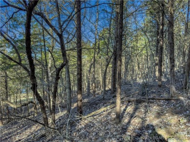 The seller will consider all reasonable offers. Offering an on The Club At Old Kinderhook in Missouri - for sale on GolfHomes.com, golf home, golf lot