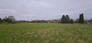 LOCATION! LOCATION! LOCATION! Come build your dream home on Hole on Lake LeAnn Golf Course in Michigan - for sale on GolfHomes.com, golf home, golf lot