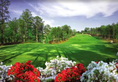 Large cleared lot in coveted Governors Towne Club community on The Governors Towne Club in Georgia - for sale on GolfHomes.com, golf home, golf lot