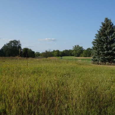 LOCATION! LOCATION! LOCATION! Come build your dream home on Hole on Lake LeAnn Golf Course in Michigan - for sale on GolfHomes.com, golf home, golf lot