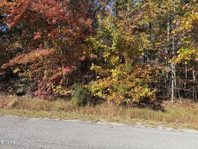 This is a great golf front lot with full view of 13th fairway on Lake Tansi Village Country Club in Tennessee - for sale on GolfHomes.com, golf home, golf lot