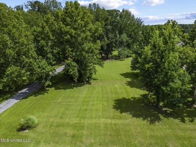 Double Boat Slip, Pier and one of the last LARGE waterfront lots on Lake Caroline Golf Club in Mississippi - for sale on GolfHomes.com, golf home, golf lot