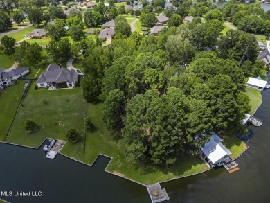 Double Boat Slip, Pier and one of the last LARGE waterfront lots on Lake Caroline Golf Club in Mississippi - for sale on GolfHomes.com, golf home, golf lot