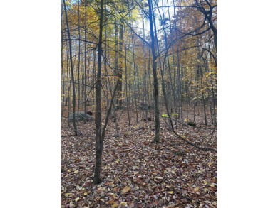 Explore the possibilities with this stunning 5-acre wooded lot on Crotched Mountain Golf Club in New Hampshire - for sale on GolfHomes.com, golf home, golf lot