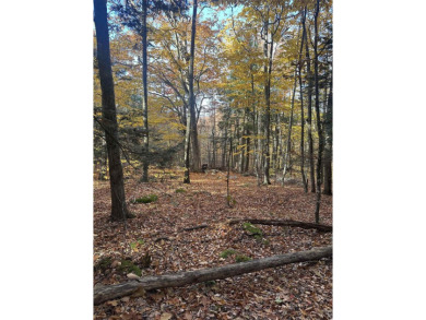 Explore the possibilities with this stunning 5-acre wooded lot on Crotched Mountain Golf Club in New Hampshire - for sale on GolfHomes.com, golf home, golf lot