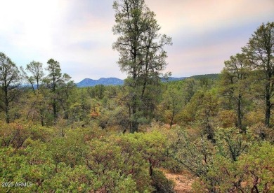 Welcome to the hub of Arizona's Rim Country! This Payson gem of on The Golf Club At Chaparral Pines in Arizona - for sale on GolfHomes.com, golf home, golf lot