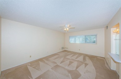 Welcome to On Top of the World, Clearwater's premier 55+ active on On Top Of The World Golf Course in Florida - for sale on GolfHomes.com, golf home, golf lot