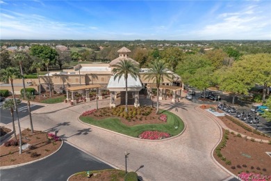 TERRA VISTA! CHECK OUT THIS GEM CONVENIENTLY LOCATED IN THE on Skyview At Terra Vista Golf and Country Club in Florida - for sale on GolfHomes.com, golf home, golf lot