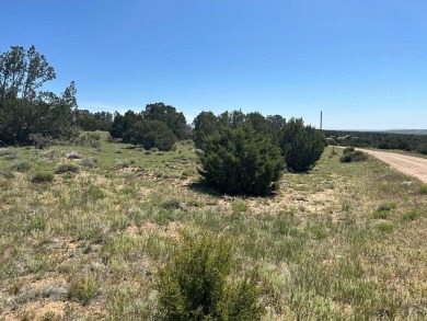 WELCOME TO Southern Colorado and what could be your very own 2+ on Walsenburg Golf Club in Colorado - for sale on GolfHomes.com, golf home, golf lot