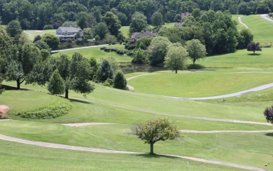 Wonderful views and direct course frontage on the area's premier on Mountain Harbour Golf Club in North Carolina - for sale on GolfHomes.com, golf home, golf lot