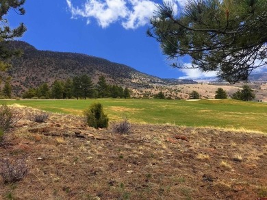 Suzy Woodward, Team Murphy Realty, C: , suzy,  : Spectacular Lot on Rio Grande Golf Club in Colorado - for sale on GolfHomes.com, golf home, golf lot