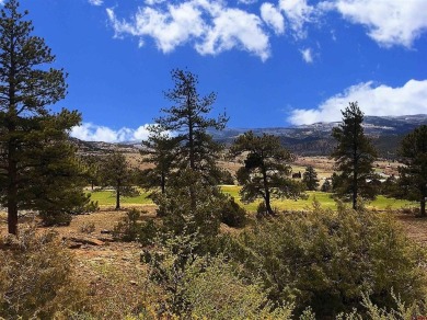 Suzy Woodward, Team Murphy Realty, C: , suzy,  : Spectacular Lot on Rio Grande Golf Club in Colorado - for sale on GolfHomes.com, golf home, golf lot