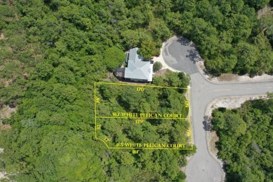 Presenting TWO contiguous lots (Lots 165  167) in an X Flood on St. James Bay in Florida - for sale on GolfHomes.com, golf home, golf lot