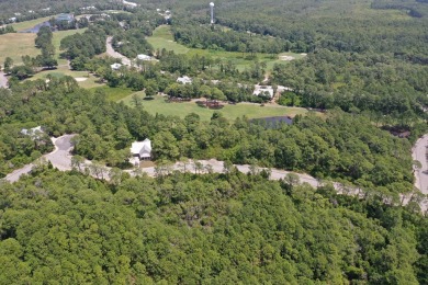 Presenting TWO contiguous lots (Lots 165  167) in an X Flood on St. James Bay in Florida - for sale on GolfHomes.com, golf home, golf lot