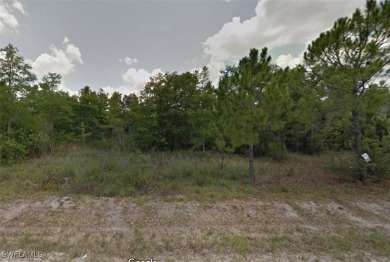 Build your dream home on this 1+ acre lot with NO HOA.  Golden on The Club At Twin Eagles in Florida - for sale on GolfHomes.com, golf home, golf lot