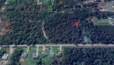 Build your dream home on this 1+ acre lot with NO HOA.  Golden on The Club At Twin Eagles in Florida - for sale on GolfHomes.com, golf home, golf lot