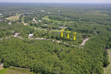 Rare opportunity alert! Presenting THREE contiguous lots (Lots on St. James Bay in Florida - for sale on GolfHomes.com, golf home, golf lot