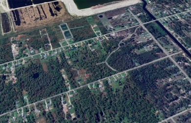 Build your dream home on this 1+ acre lot with NO HOA.  Golden on The Club At Twin Eagles in Florida - for sale on GolfHomes.com, golf home, golf lot