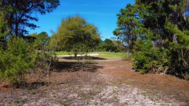 Desirable, partially cleared, 7,600SF lot located on Royal Tern on St. James Bay in Florida - for sale on GolfHomes.com, golf home, golf lot