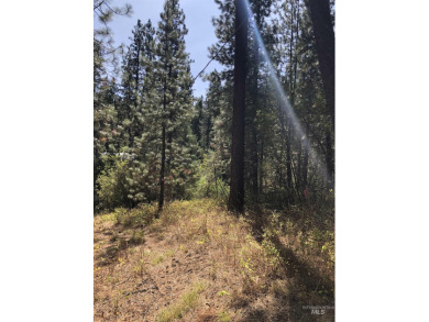 Charming 1.11-Acre Lot in popular Castle Mountain Creeks - on Terrace Lakes Golf Resort in Idaho - for sale on GolfHomes.com, golf home, golf lot