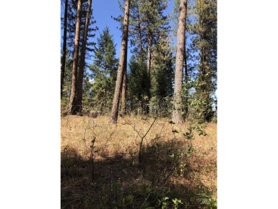 Charming 1.11-Acre Lot in popular Castle Mountain Creeks - on Terrace Lakes Golf Resort in Idaho - for sale on GolfHomes.com, golf home, golf lot