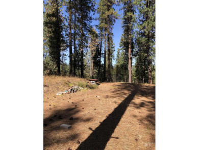 Charming 1.11-Acre Lot in popular Castle Mountain Creeks - on Terrace Lakes Golf Resort in Idaho - for sale on GolfHomes.com, golf home, golf lot